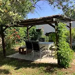 Trullo Primitivo *