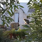 Trullo Primitivo Feriehus