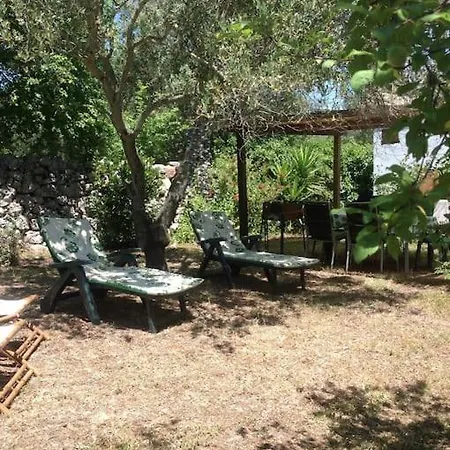 Semesterbostad Trullo Primitivo