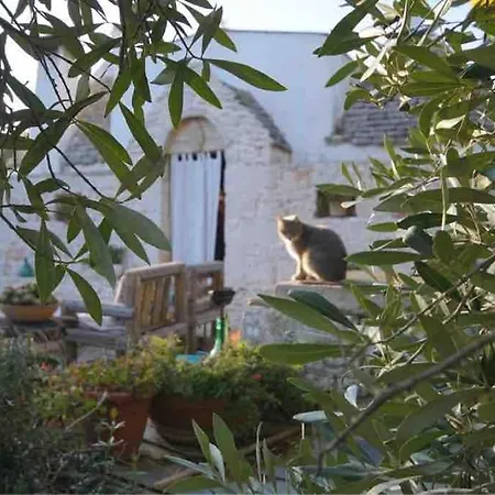 Trullo Primitivo Semesterbostad