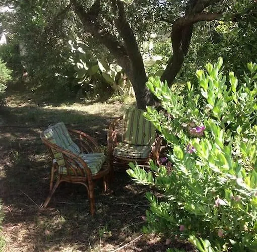 度假居 Trullo Primitivo 切列梅萨皮卡