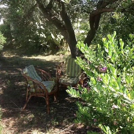 Dom wakacyjny Trullo Primitivo Ceglie Messapica